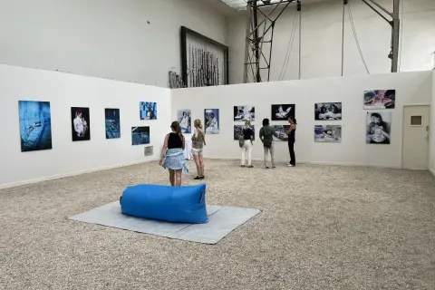 Visiteurs admirant un projet photo dans une galerie d'art. Des œuvres sur la maternité et la naissance sont exposées.