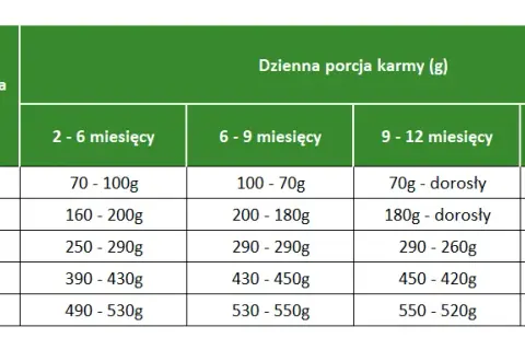 Ile gram karmy dla szczeniaka cavaliera? Sprawdź idealne porcje.