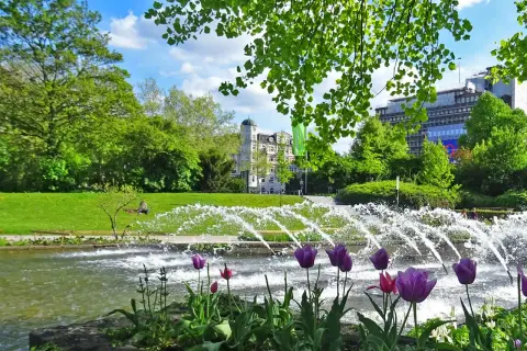 Wasserspiele Hamburg: Tulpen blühen am Teich, während Fontänen im Park sprühen. Ein entspannter Tag im Grünen.