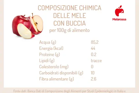 Una mela rossa, con buccia, apporta 44 kcal per 100g. Dettagli nutrizionali di questo frutto.