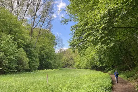 Ein Wanderer auf dem Liewerfrauenweg in Solingen genießt die üppige grüne Natur und den blauen Himmel.