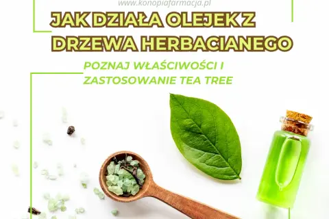 Olejek z drzewa herbacianego: Szkodliwość i bezpieczne stosowanie. Poznaj zasady.