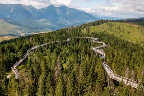 Ścieżka w koronach drzew na Słowacji, blisko granicy z Polską, oferuje wspaniałe widoki na Tatry.