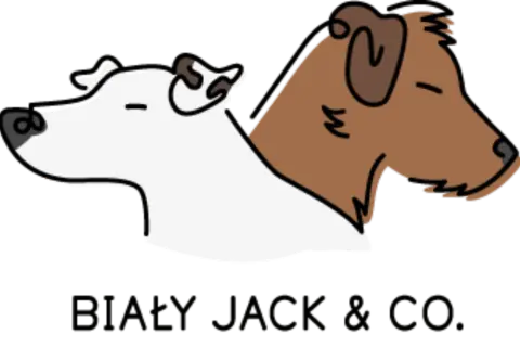Dwa psy, biały i brązowy, patrzą w bok. Biały Jack i jego przyjaciel.