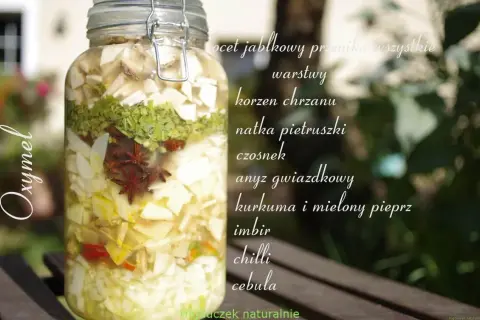 Słoik z warstwami składników do oxymelu: jabłko, chrzan, natka, czosnek, anyż, kurkuma, imbir, chilli, cebula.