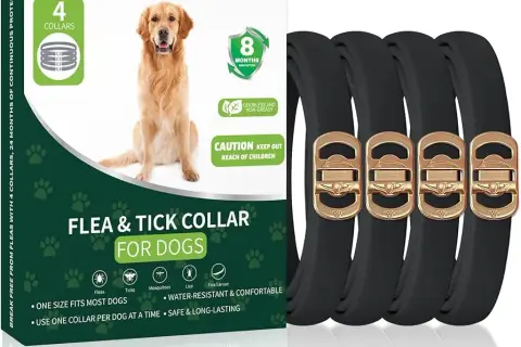 Los mejores collares para garrapatas en perros: protección efectiva y segura