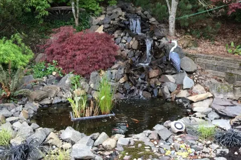 A serene homemade pond waterfall cascades over rocks into a dark pool. A decorative heron statue watches over the koi swimming below.