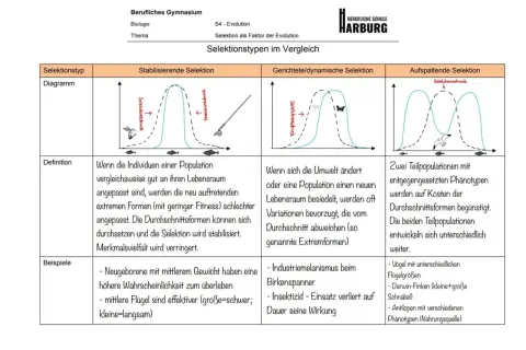 Vergleich von Selektionstypen: stabilisierend, gerichtet, aufspaltend. Die Definition von Selektion wird anhand von Diagrammen und Beispielen erklärt.