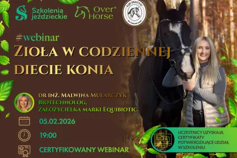 PZJ instruktor jeździectwa: Kompletny przewodnik po kursie