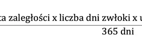 Odsetki ustawowe za każdy dzień - jak obliczyć i kiedy płacić?