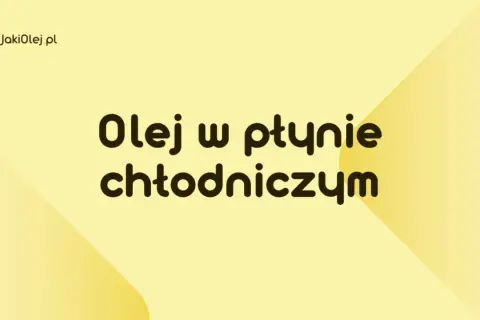 Olej w płynie chłodniczym – dowiedz się, jaki olej wybrać do swojego pojazdu na JakiOlej.pl.