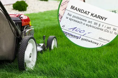 Kosiarka na zielonym trawniku i mandat karny na 190 zł. Czy można kosic trawe w niedziele? To pytanie może kosztować.