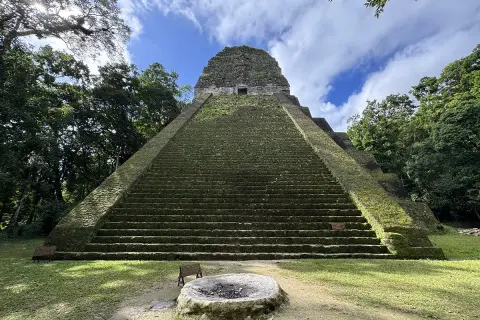 Pirámide maya cubierta de musgo en Tikal, Guatemala. El sol ilumina las escalinatas, rodeadas de exuberante vegetación, como si fueran flores silvestres de Guatemala.