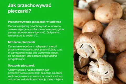 Świeże pieczarki i wskazówki, jak przechowywać pieczarki w lodówce, mrozić lub suszyć, by zachować ich smak i wartości.