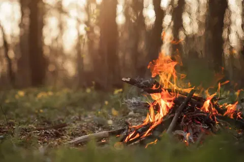 Ognisko w lesie: zasady, kary i legalne miejsca. Sprawdź!