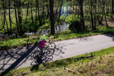 Dwie osoby na rowerach przemierzają malownicze bory tucholskie. Trasy rowerowe wiodą przez las, wzdłuż strumienia.