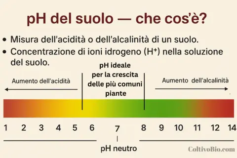Scala pH del suolo: da acido a alcalino, con zona ideale per le piante. Utile per capire come misurare il pH del terreno.