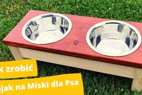 Jak zrobić stojak na miski dla psa - proste i tanie sposoby DIY