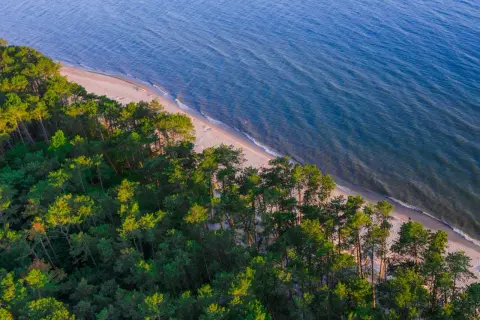 Piękna, piaszczysta plaża nad Bałtykiem, otoczona lasem sosnowym. Idealne miejsce na relaks, być może jedna z plaż naturystów w Polsce.