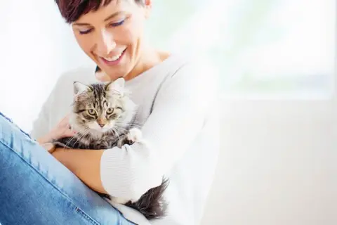 Por qué mi gato me amasa y qué significa este comportamiento afectuoso