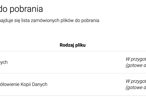 BIK za darmo: Jak uzyskać bezpłatną Kopię danych krok po kroku