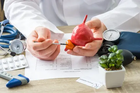 Un médecin montre un modèle de prostate, expliquant les risques liés à une biopsie de prostate. Stéthoscope, tensiomètre et formulaire médical sur la table.