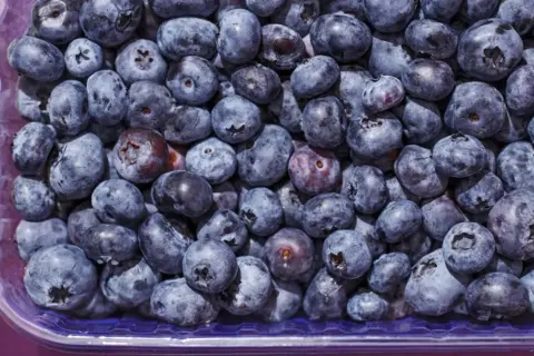 Pyszne borówki w plastikowym pojemniku. Czy można jeść borówki na noc? Tak, to świetna przekąska!