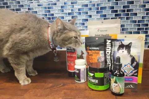 Szary kot wącha produkty na stawy, w tym Arthrosterol MB. W tle widać kafelki.