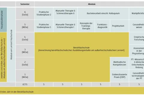 Studienverlaufsplan für ein duales Studium Physiotherapie NRW mit Modulen wie Manuelle Therapie, Trainingskonzepte und PT-Wissenschaft.