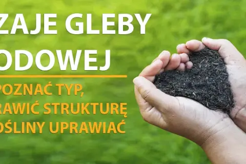 Polska gleba w ogrodzie: Jak ją rozpoznać i uprawiać?