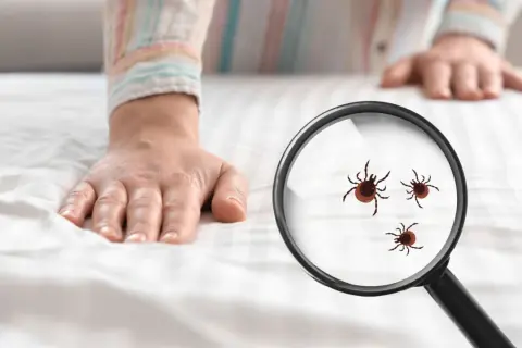 Dłoń na białej pościeli, lupa pokazuje kleszcze. Poznaj domowe sposoby na kleszcze i chroń siebie i bliskich.