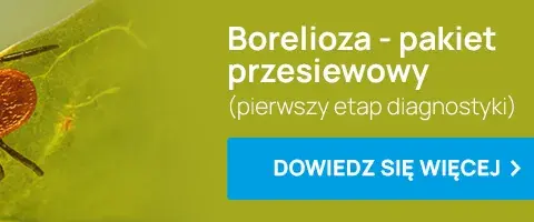 Kiedy zrobić badania na boreliozę? Nie przegap optymalnego momentu po ukąszeniu kleszcza!