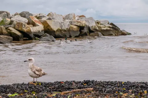 Kąty Rybackie: Spokój, natura i top atrakcje Mierzei Wiślanej