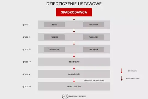 Drzewo dziedziczenia spadku: od spadkodawcy przez dzieci, rodziców, rodzeństwo, dziadków, pasierbów do skarbu państwa.