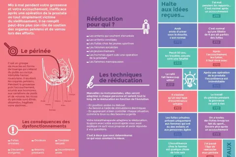 Le périnée, essentiel pour le soutien des organes, peut nécessiter une rééducation chez la femme après accouchement ou à tout âge.