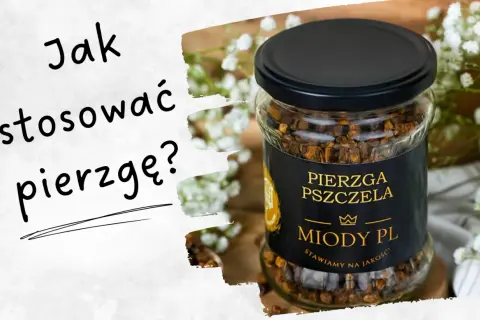 Jak zażywać pierzgę? Dawkowanie, przygotowanie pełna moc!