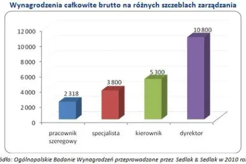 Hydraulik w Polsce: Zarobki 15 000 PLN? Sprawdź, czy to dla Ciebie!