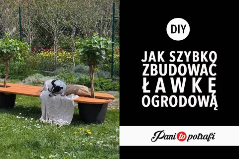 Jak samemu zrobić ławkę ogrodową? Piesek odpoczywa na gotowej, drewnianej ławce w otoczeniu zieleni.