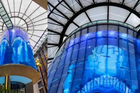 AquaDom oceanarium Berlin - tragiczne wydarzenia i plany na przyszłość