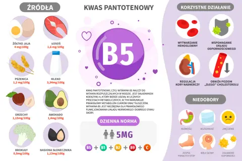 Wykres przedstawia źródła, korzyści i niedobory witaminy B5. Witamina B5 jest kluczowa dla metabolizmu i zdrowia.