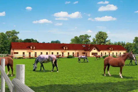 Ile kosztuje budowa stajni? Oszczędź nawet 30% na inwestycji