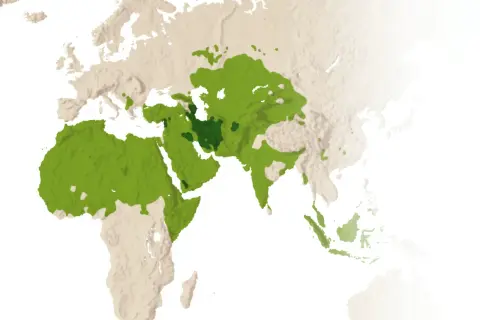 Karta som visar spridningen av islam. Kanske 10 skillnader mellan shia och sunni kan förklaras med dessa områden.