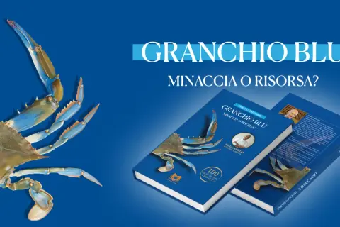 Il granchio blu, minaccia o risorsa? Libri esplorano il fenomeno, con ricette e interviste.