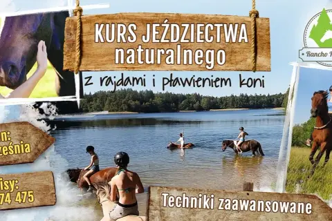 Jeździectwo naturalne kursy - jak wybrać najlepszy program szkoleniowy?