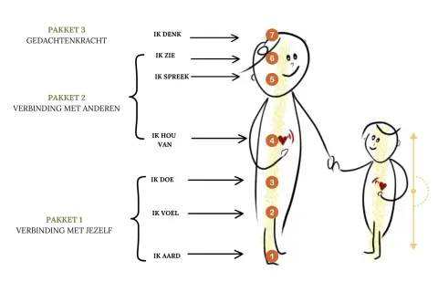 Een volwassen kind en ouder, verbonden door een lijn, met genummerde cirkels die de relatie tussen ouders en volwassen kind symboliseren.