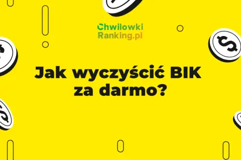 Jak usunąć BIK legalnie i za darmo? Poradnik krok po kroku