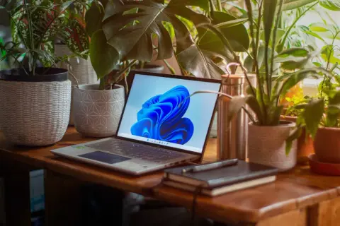 Laptop z systemem Windows 11 otoczony roślinami. Dowiedz się, jak zmienić administratora Windows 11, aby usprawnić zarządzanie kontami.