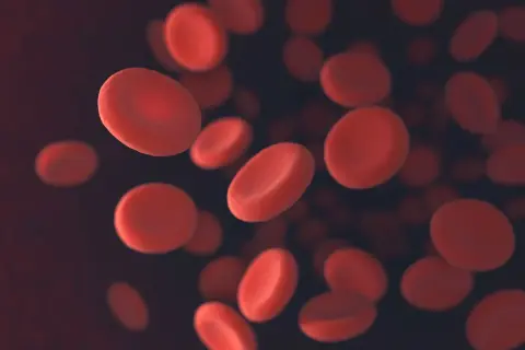Czerwone krwinki unoszą się w ciemnym tle. Niektóre są wyraźniejsze, inne rozmyte, sugerując zmienność ich wielkości, co może wskazywać na podwyższone rdw-sd i rdw-cv.