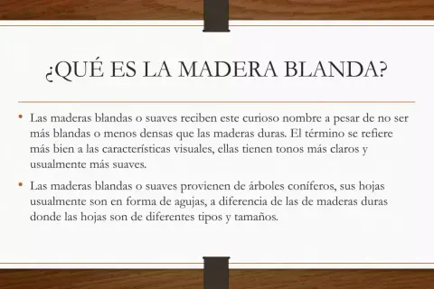 Texto explicativo sobre qué son las maderas blandas, sus características visuales y su origen en árboles coníferos.