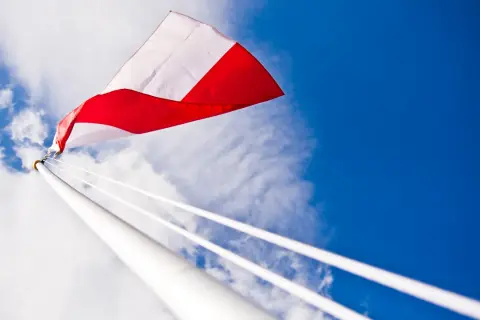 Tadar to polska firma? Poznaj fakty o kapitale i produkcji!